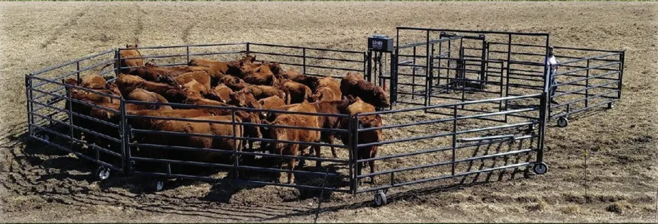 BULLDOG PORTABLE CORRAL+2 - IN WITH HEADGATE