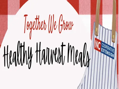 header image of apron