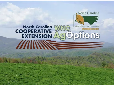 WNC Ag Options Logo