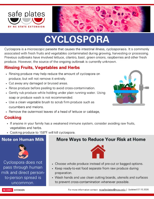 cyclospora outbreak; how to reduce the risk at home