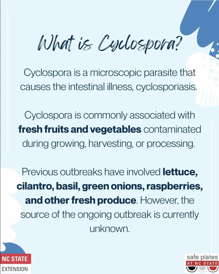 What Is Cyclospora