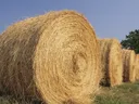Hay bales