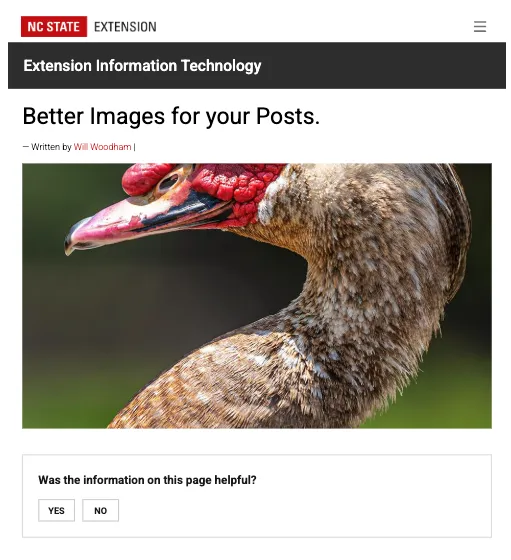 An example of a featured image being automatically cropped badly.