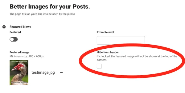 A red circle noting the location of the Hide From Header option on a post.
