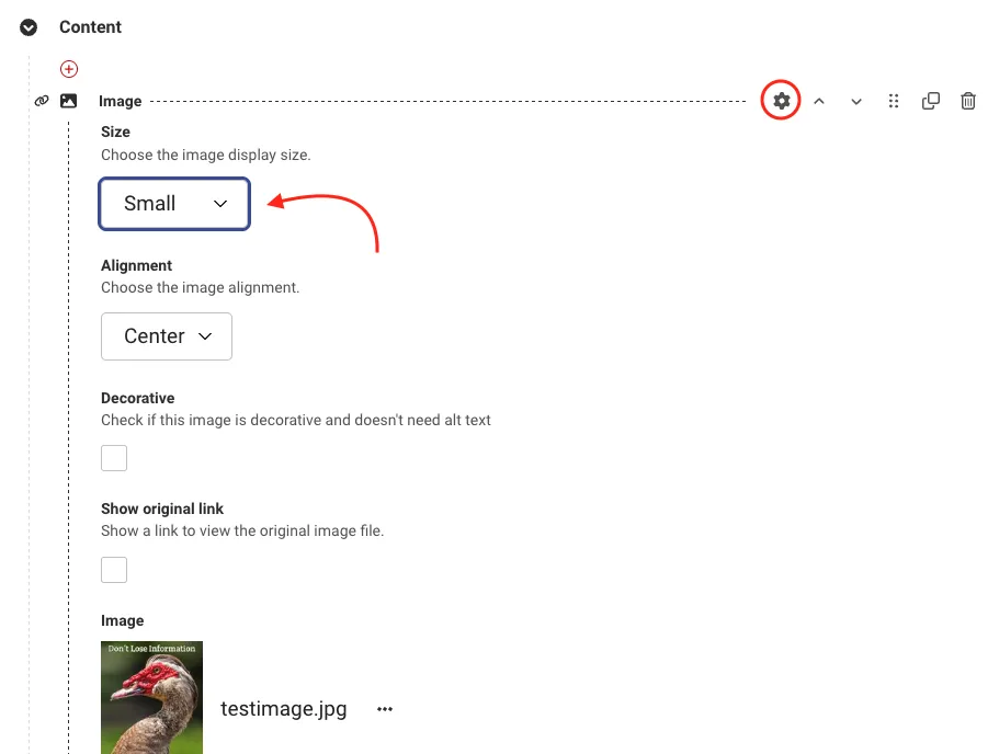 A screenshot of selecting the small image size under the Image Content Block.