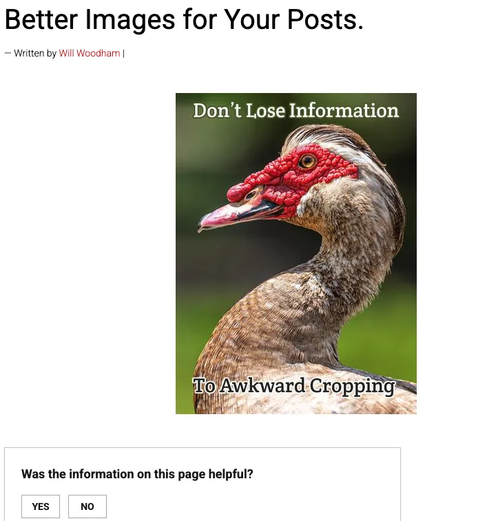 A screenshot showing the image is fully available on the final post.