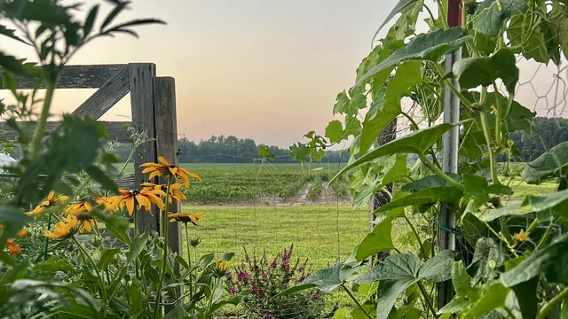 garden photo