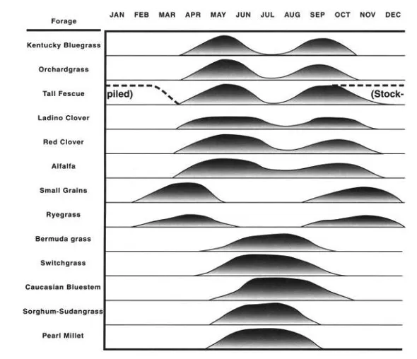 A seasonal availability chart showing growth periods throughout the year for various types of forage, such as Kentucky Bluegrass, Tall Fescue, Alfalfa, and Bermuda grass.
