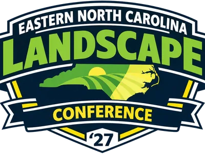 29th logo for conference