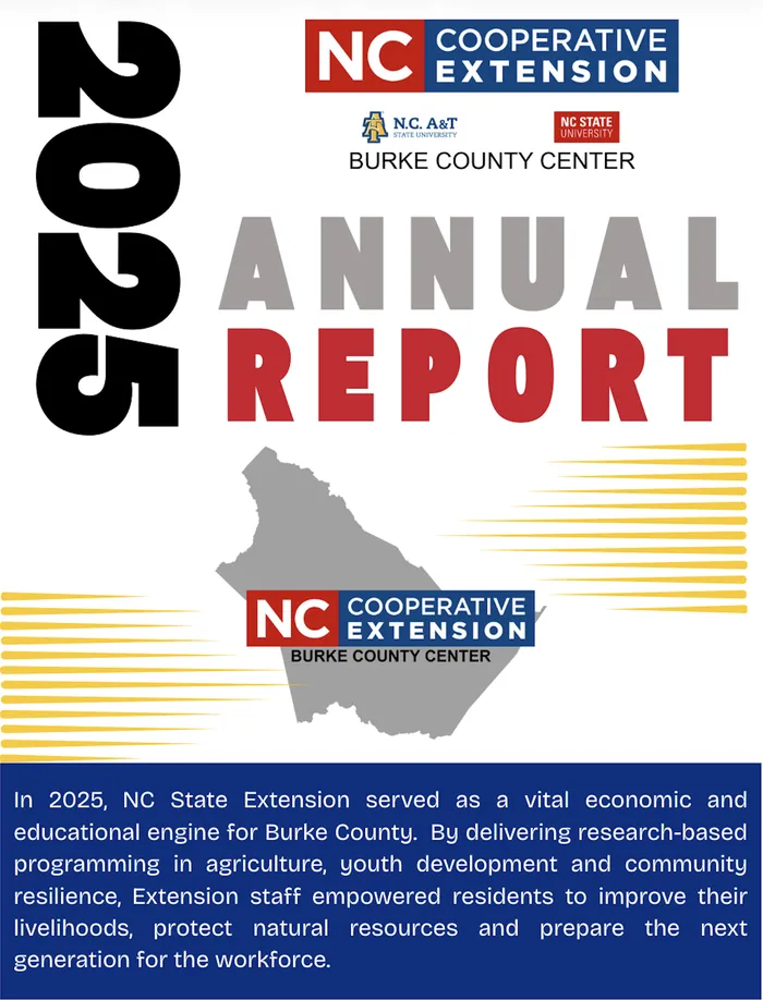 2025 Annual Report Cover
