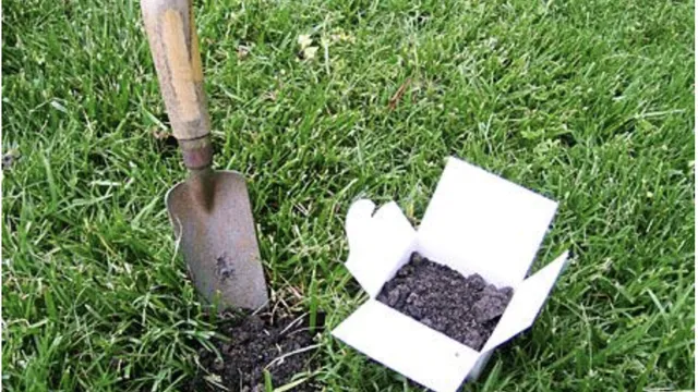 Soil testing is the only accurate way to know if you should add nutrients to your lawn or garden.