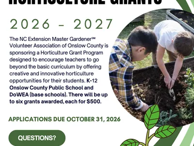 two children digging in a raised bed