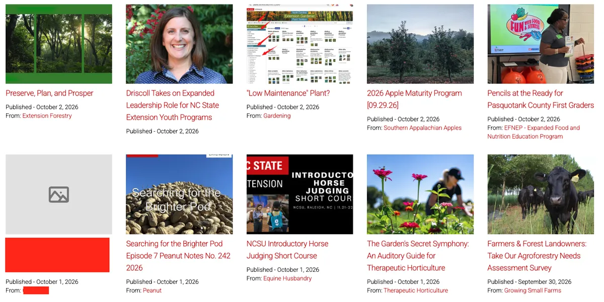 A list of articles, with one showing a default image.