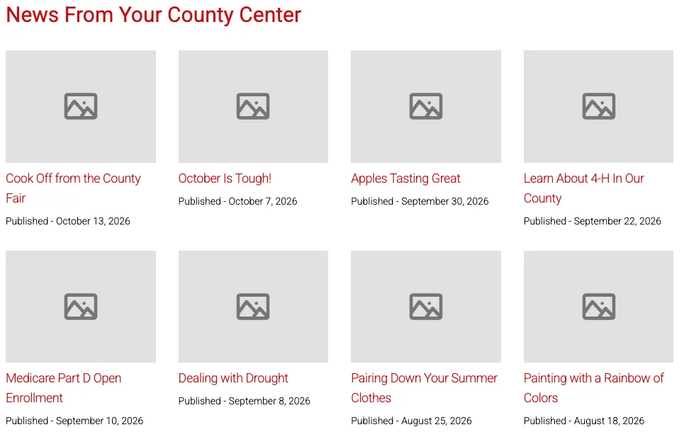 Example County Center with no featured image thumbnails.