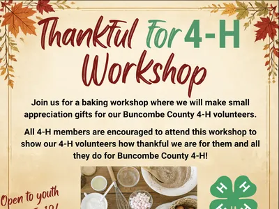 workshop flyer
