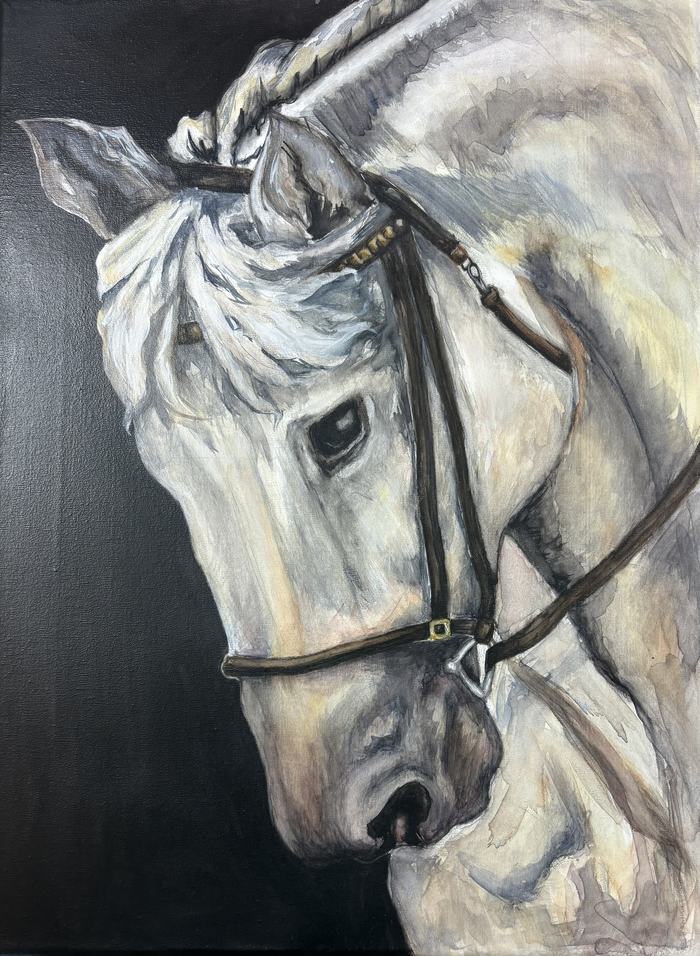 Senior Painting Champion- Madhini Sivasailam. Gray horse with bridle.
