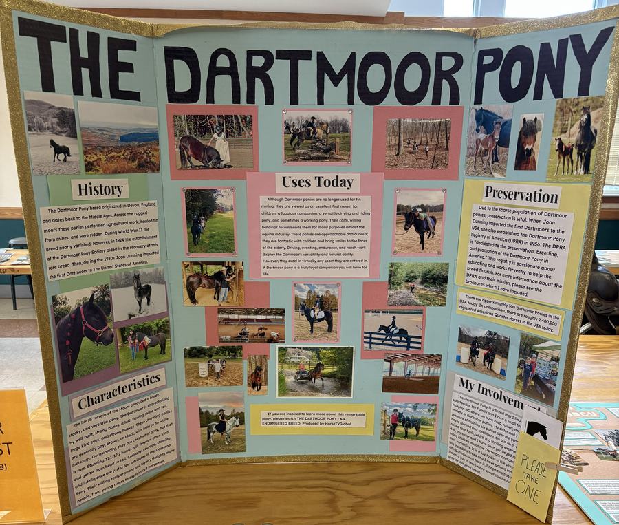 Senior Poster Champion- Eliana Meiners. Trifold poster with information about Dartmoor Ponies.