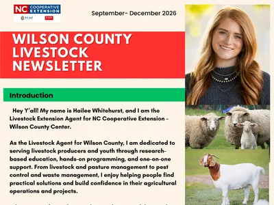 Newletter Cover
