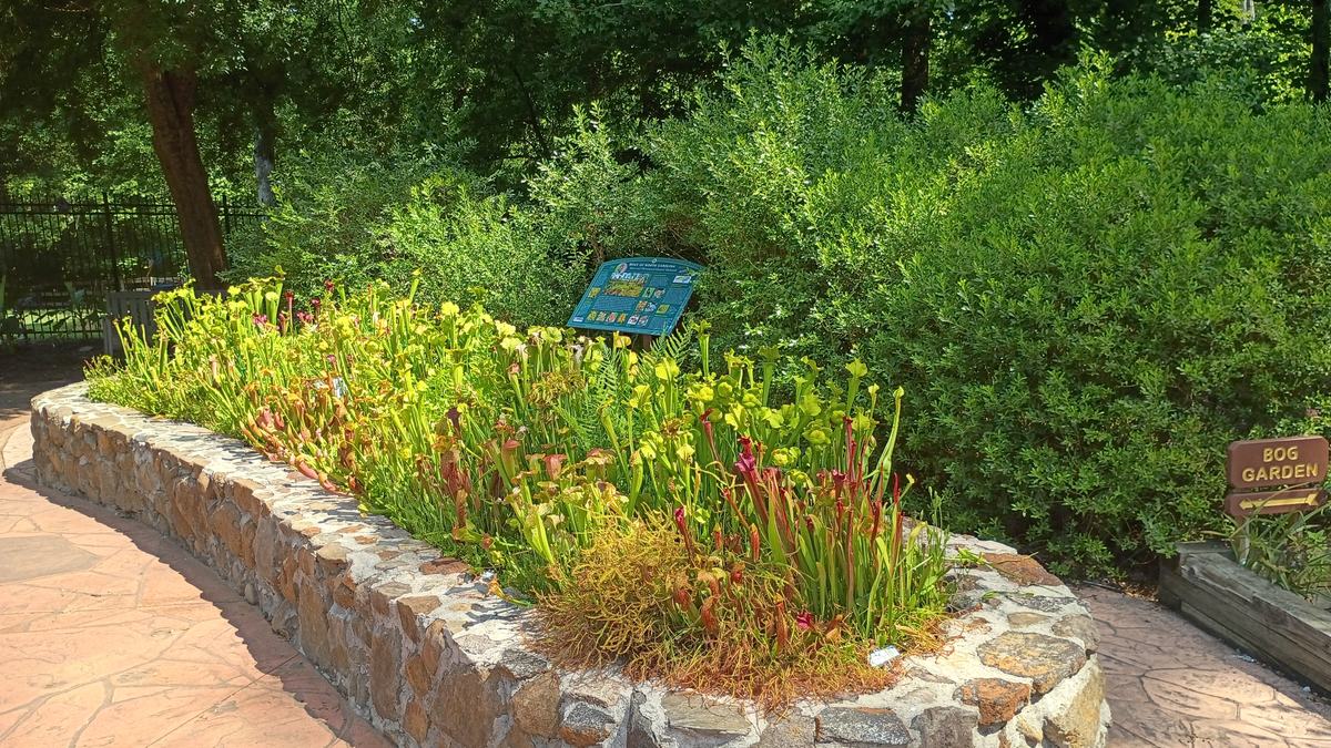 Bog Garden sign at Tanglewood Park Arboretum