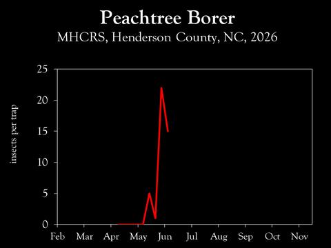 Chart showing insect population trends