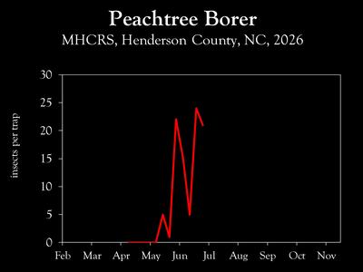 Chart showing insect population trends