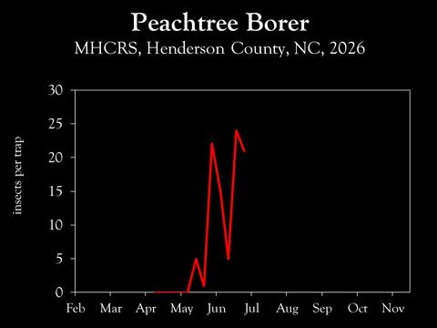 Chart showing insect population trends