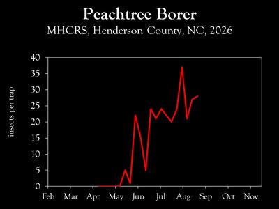 Chart showing insect population trends
