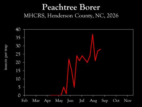Chart showing insect population trends