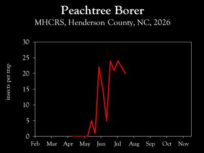 Chart showing insect population trends