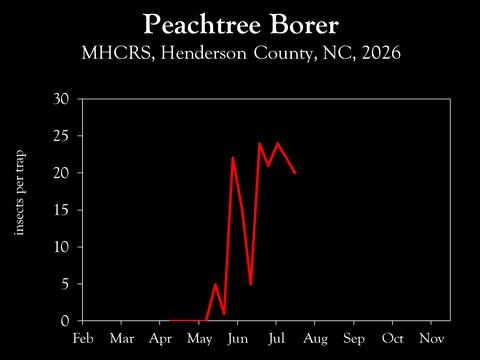 Chart showing insect population trends