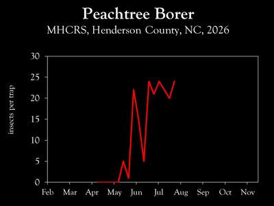 Chart showing insect population trends