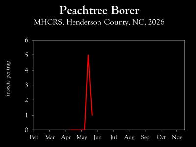 Chart showing insect population trends