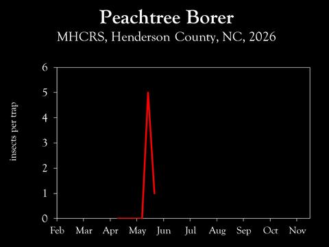 Chart showing insect population trends