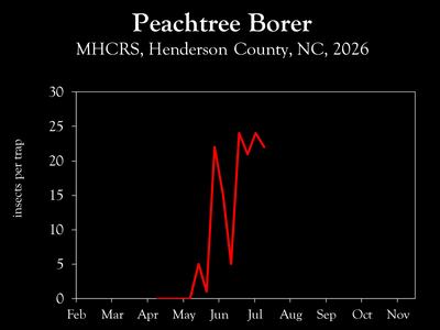 Chart showing insect population trends