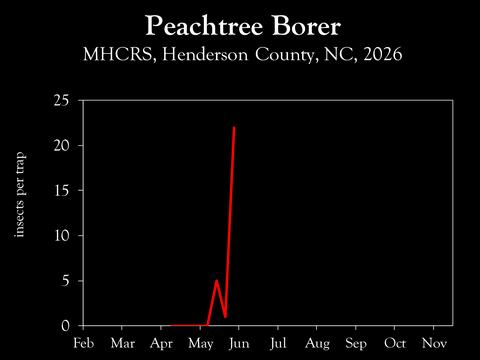 Chart showing insect population trends