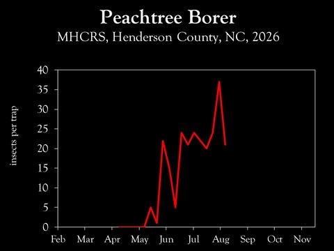 Chart showing insect population trends