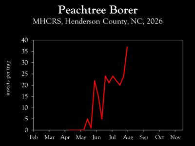 Chart showing insect population trends