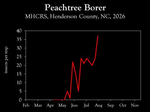 Chart showing insect population trends