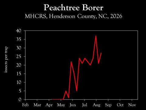 Chart showing insect population trends