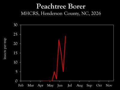 Chart showing insect population trends