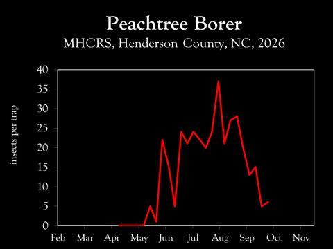Chart showing insect population trends