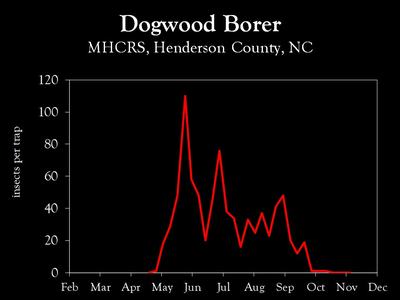 Chart showing insect population trends