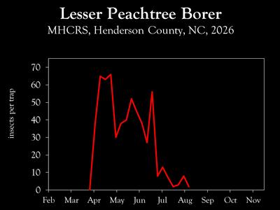 Chart showing insect population trends