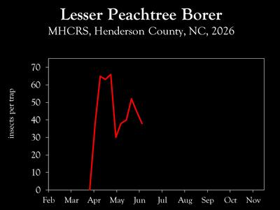 Chart showing insect population trends