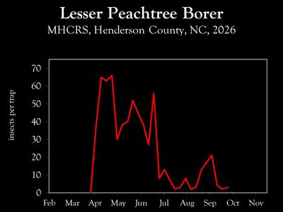 Chart showing insect population trends
