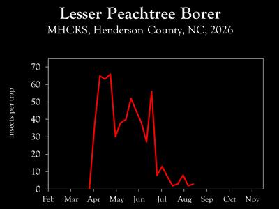 Chart showing insect population trends
