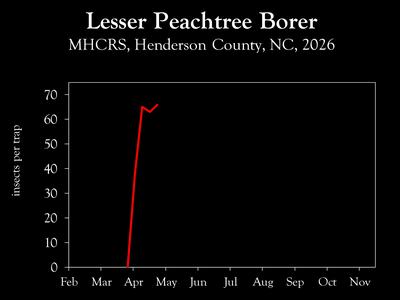 Chart showing insect population trends