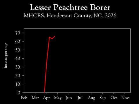 Chart showing insect population trends