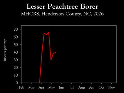 Chart showing insect population trends