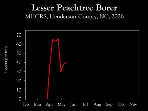 Chart showing insect population trends